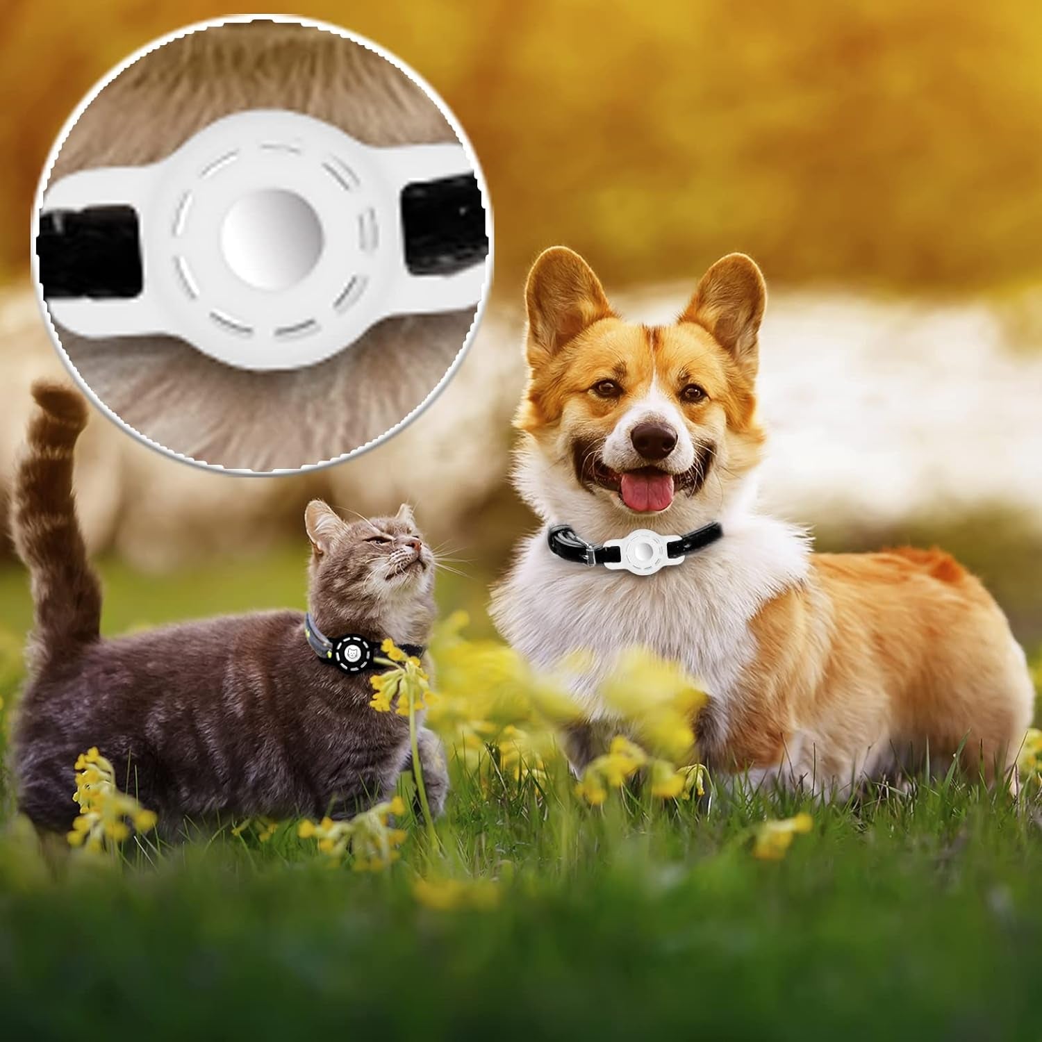 Apple AirTag Cat Collar Holder - 2 Pack for Cats and Small Dogs, Includes Protective Cases